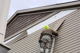 Best Siding Removal and Disposal  in Rib Mountain, WI